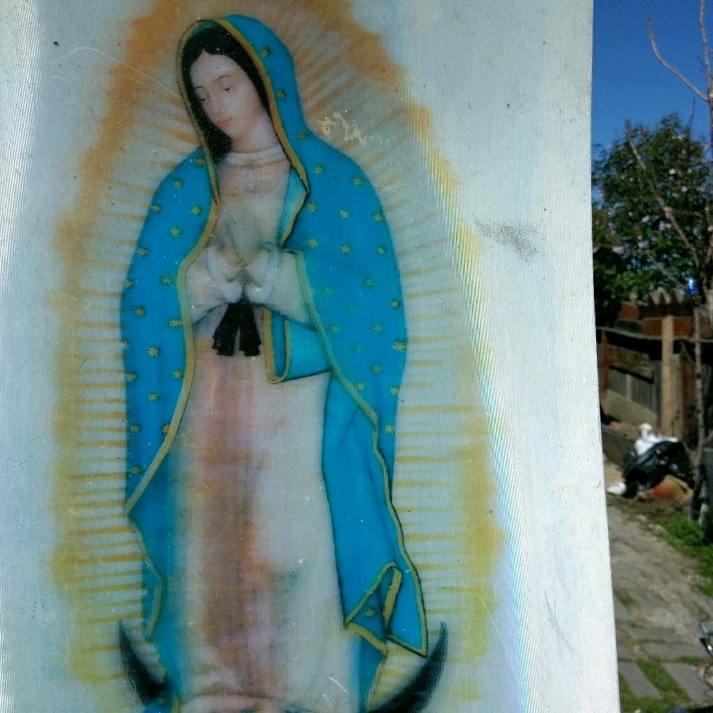 Meet your Posher, Noel